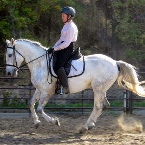 Meet your Posher, Sydney